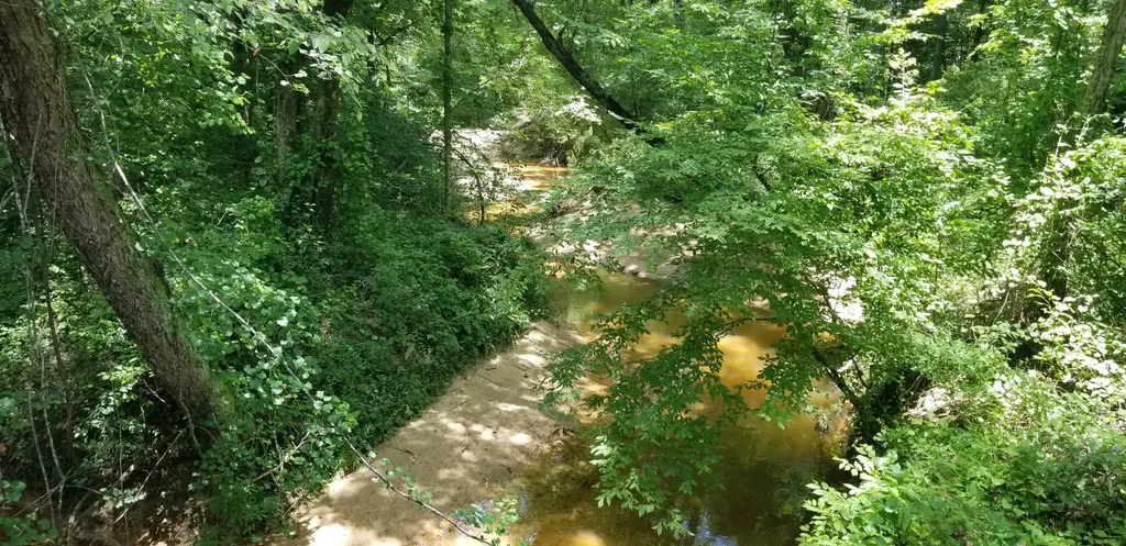 0 County Road 6, Tract A Selma AL 36701