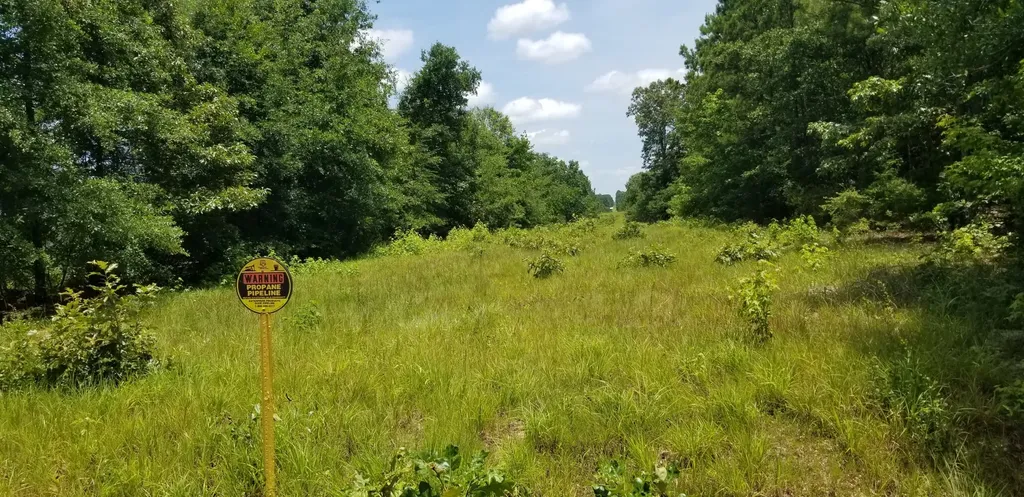 0 County Road 6, Tract A Selma AL 36701