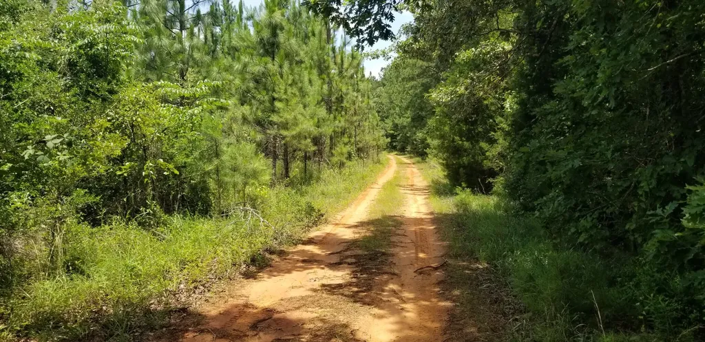 0 County Road 6, Tract A Selma AL 36701
