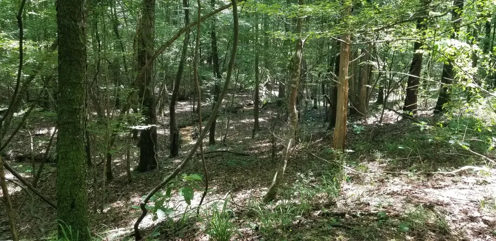 0 County Road 6, Tract A Selma AL 36701