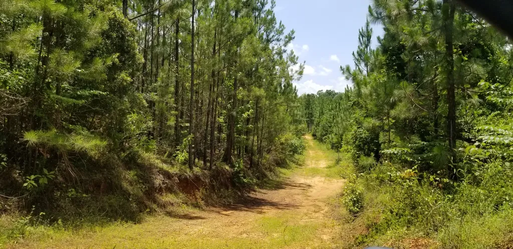 0 County Road 6, Tract A Selma AL 36701