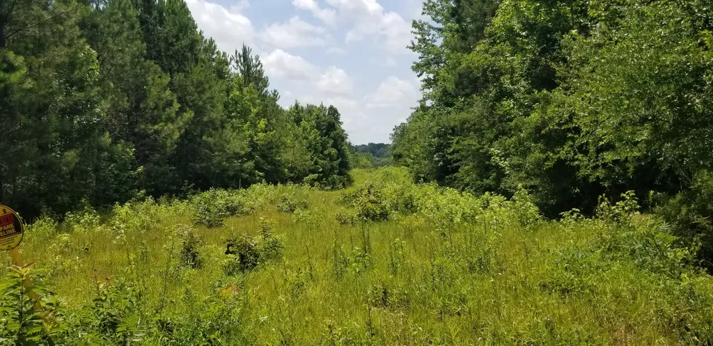 0 County Road 6, Tract A Selma AL 36701