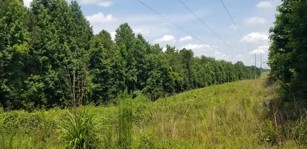 0 County Road 6, Tract A Selma AL 36701