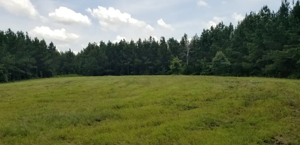 0 County Road 6, Tract A Selma AL 36701