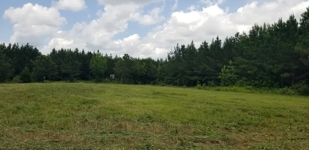 0 County Road 6, Tract A Selma AL 36701