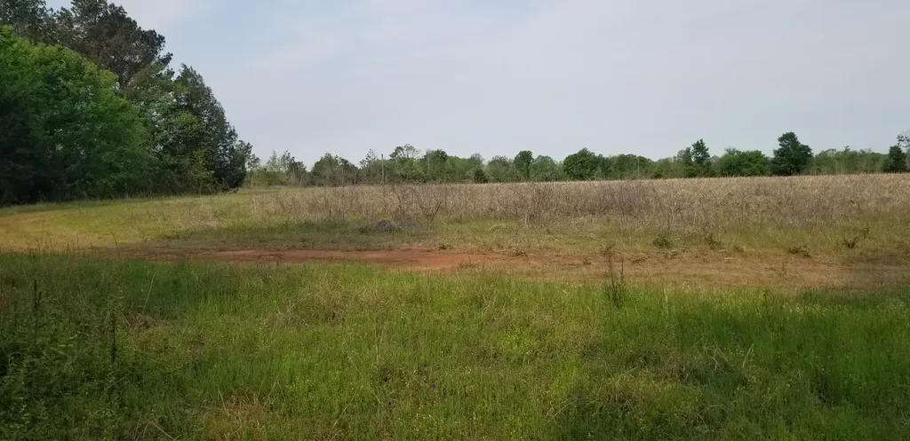 0 County Road 6, Tract A Selma AL 36701
