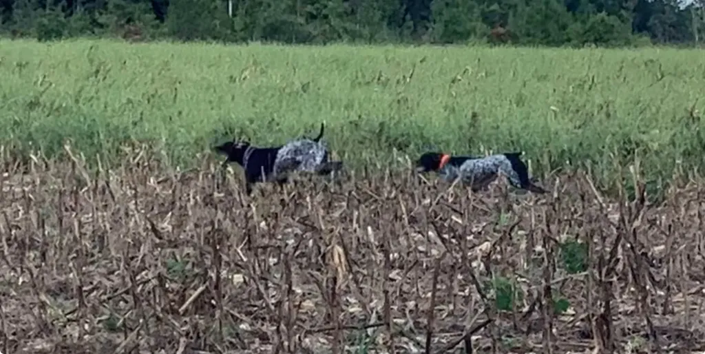 0 County Road 6, Tract A Selma AL 36701