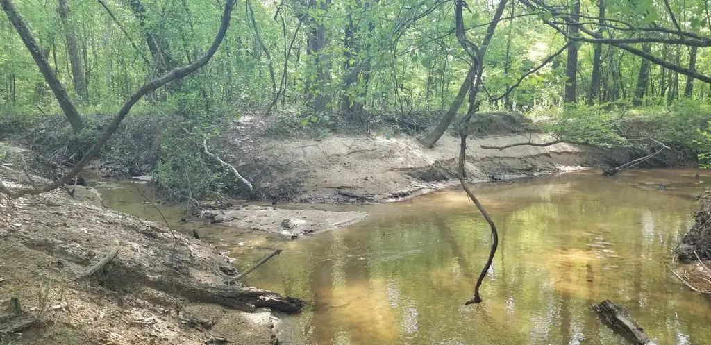 0 County Road 6, Tract A Selma AL 36701