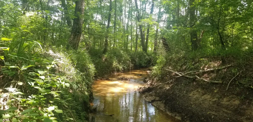 0 County Road 6, Tract A Selma AL 36701