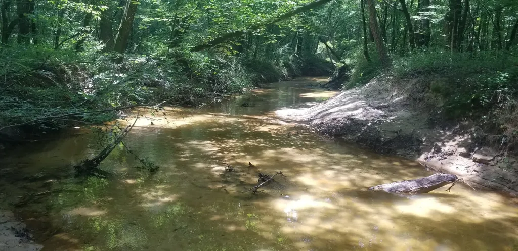 0 County Road 6, Tract A Selma AL 36701