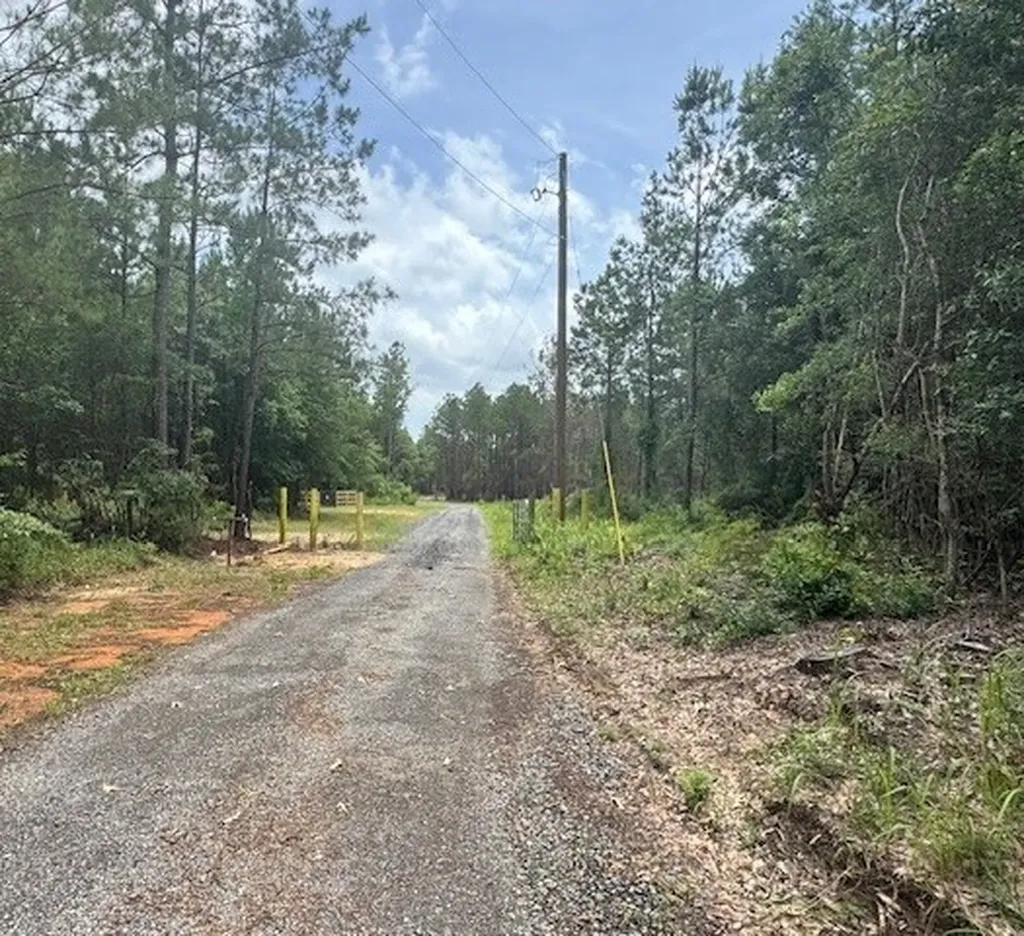 0 Salco Road Axis AL 36505