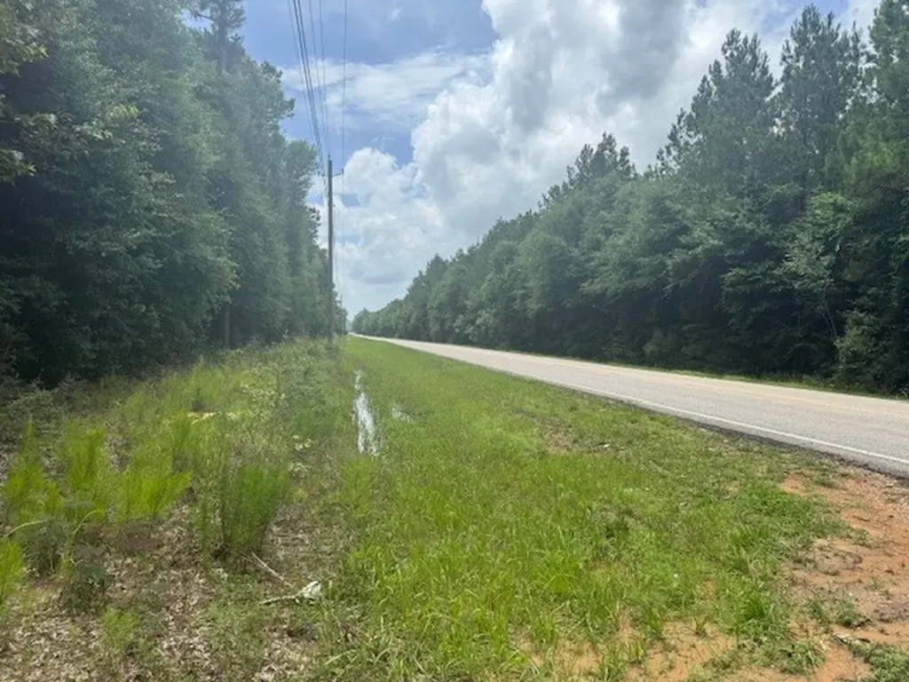 0 Salco Road Axis AL 36505