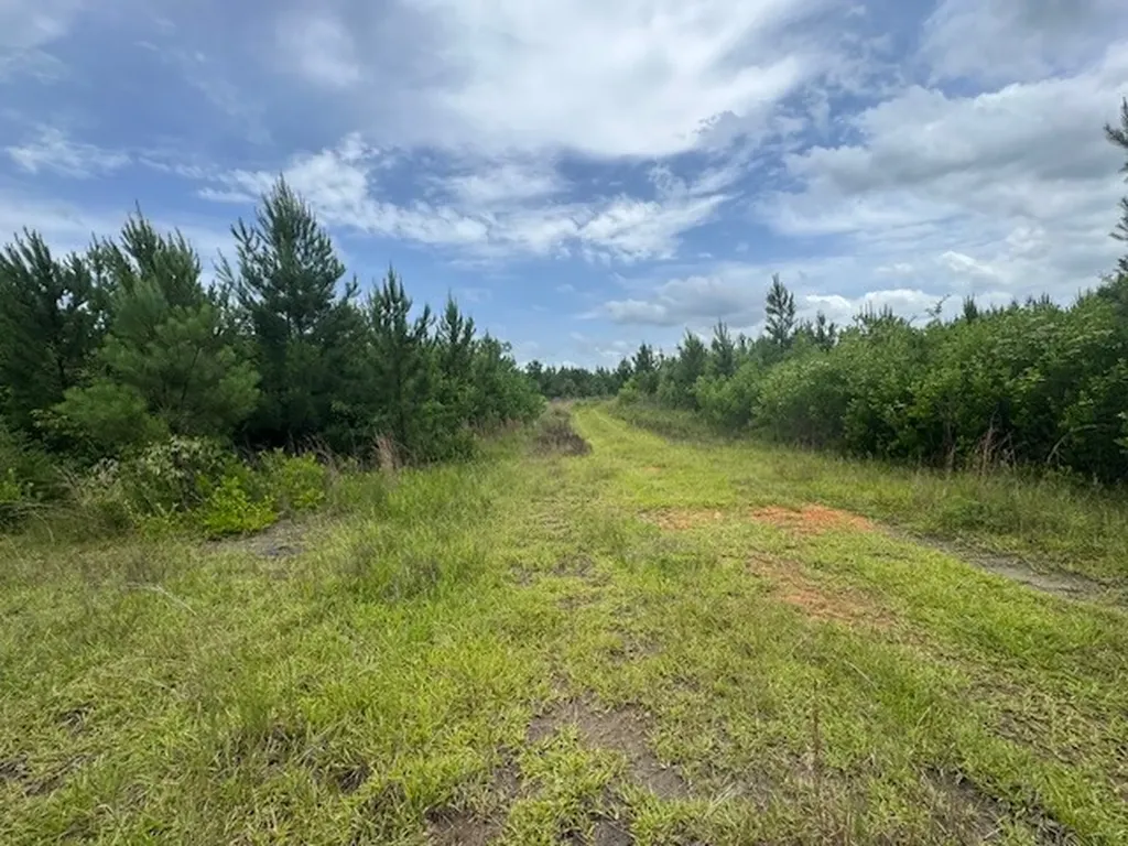 0 Salco Road Axis AL 36505