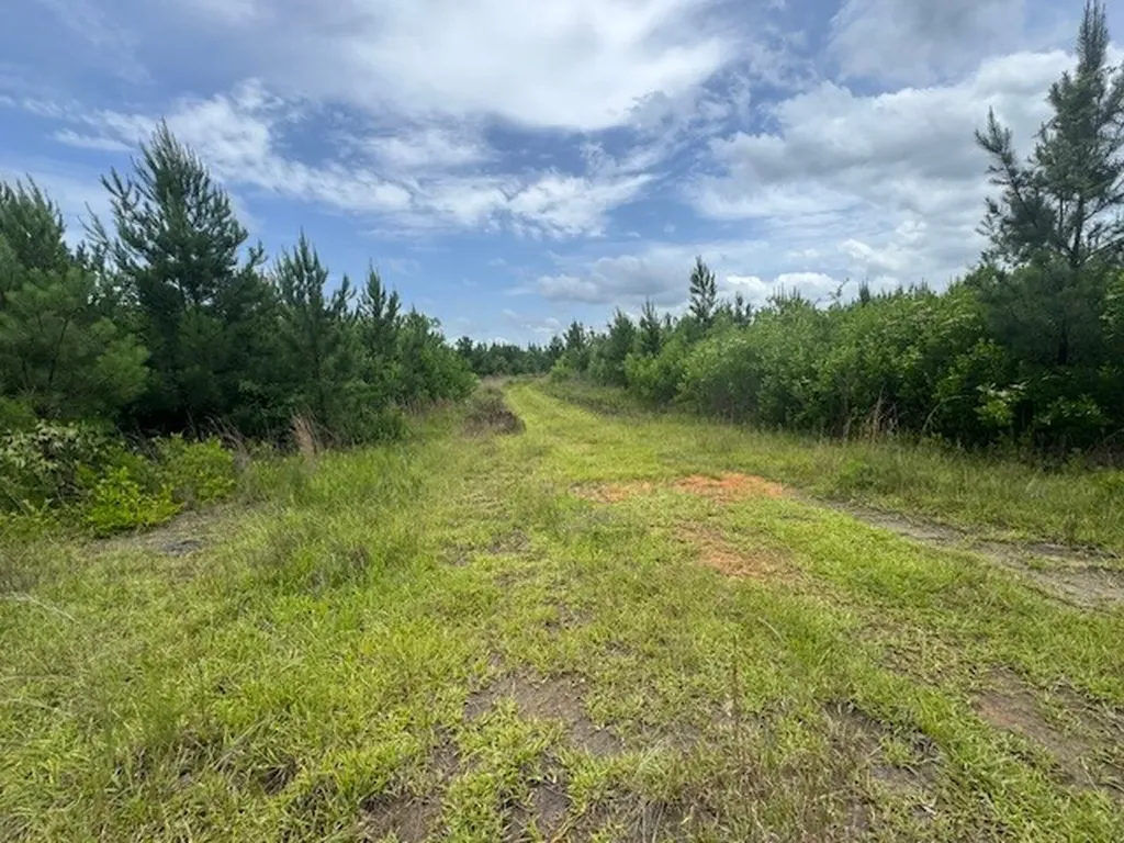 0 Salco Road Axis AL 36505