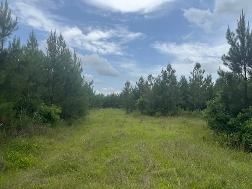 0 Salco Road Axis AL 36505
