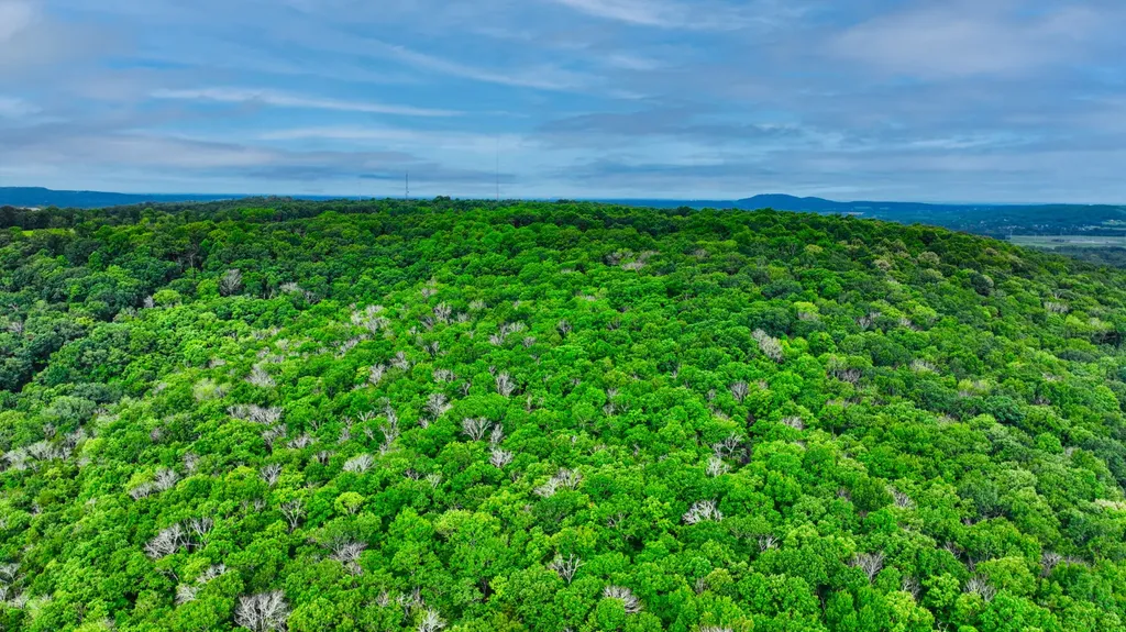 0 Juniper Drive Huntsville AL 35810