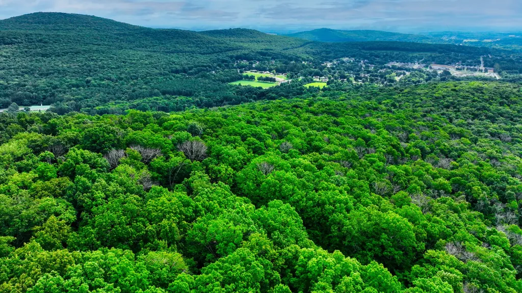 0 Juniper Drive Huntsville AL 35810