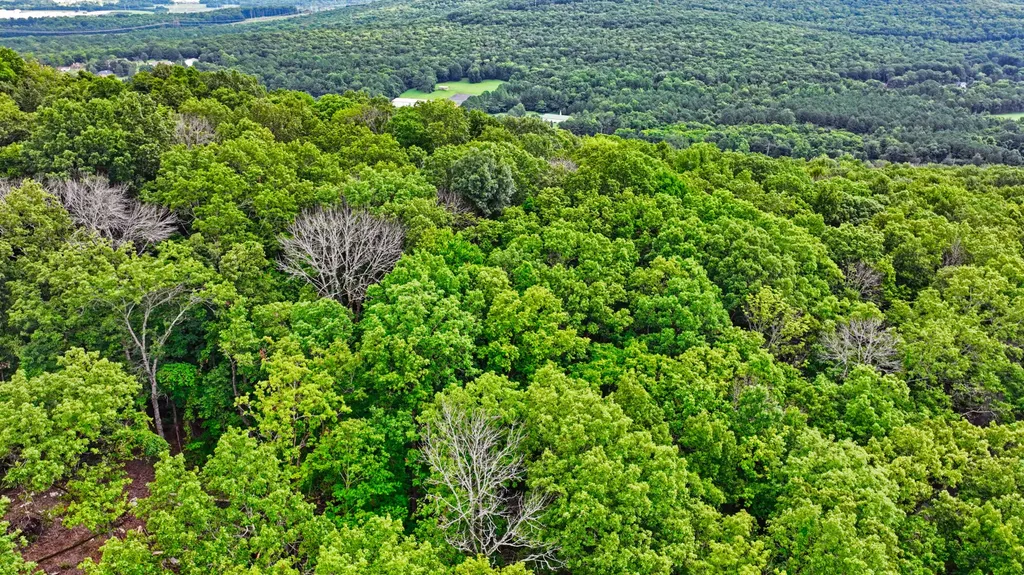 0 Juniper Drive Huntsville AL 35810