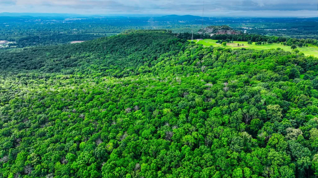 0 Juniper Drive Huntsville AL 35810