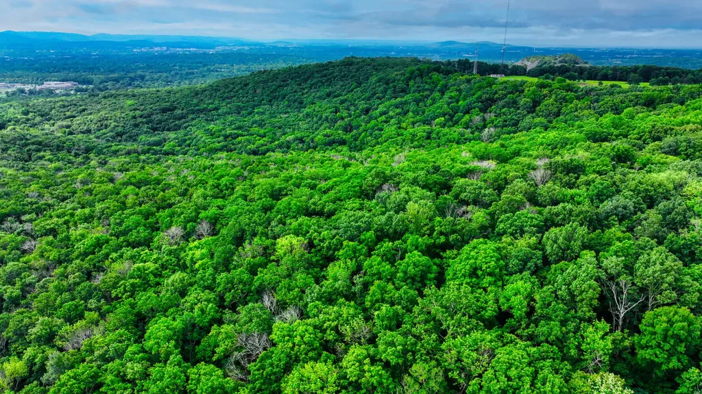 0 Juniper Drive Huntsville AL 35810