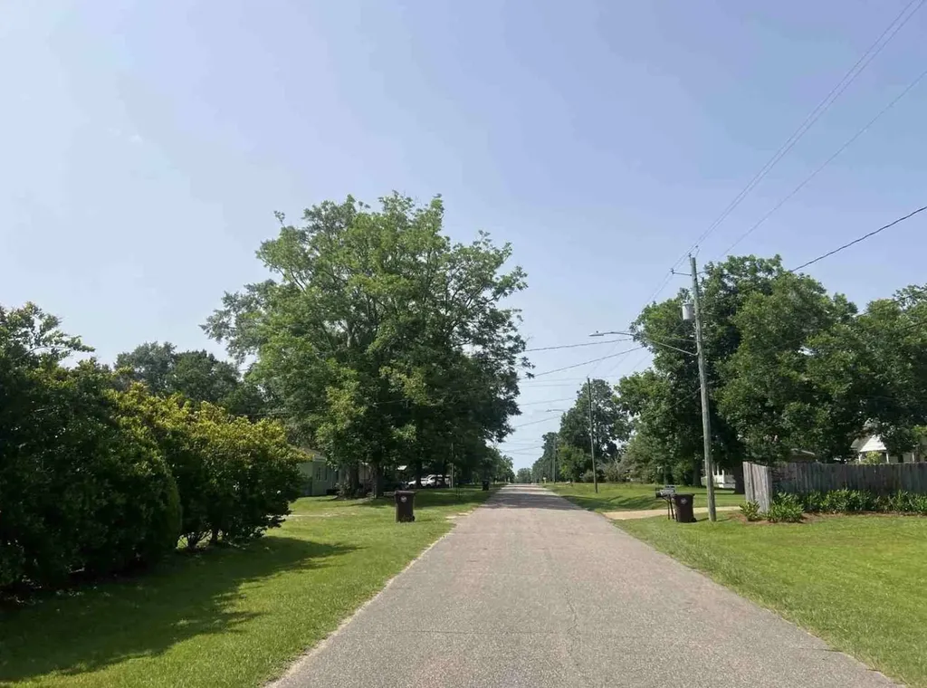 494 Lawrence Street Solcomb AL 36375