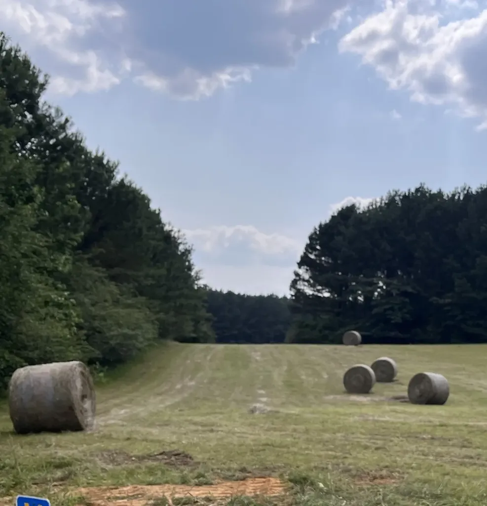 0 Co Road 97 Bremen AL 35033