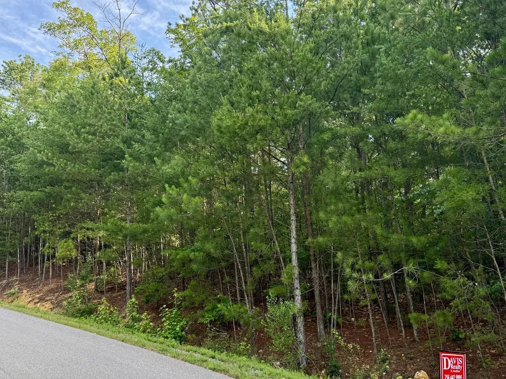 Lot 10 Shadow Wood Drive Glencoe AL 35905