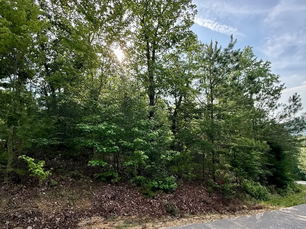 Lot 10 Shadow Wood Drive Glencoe AL 35905