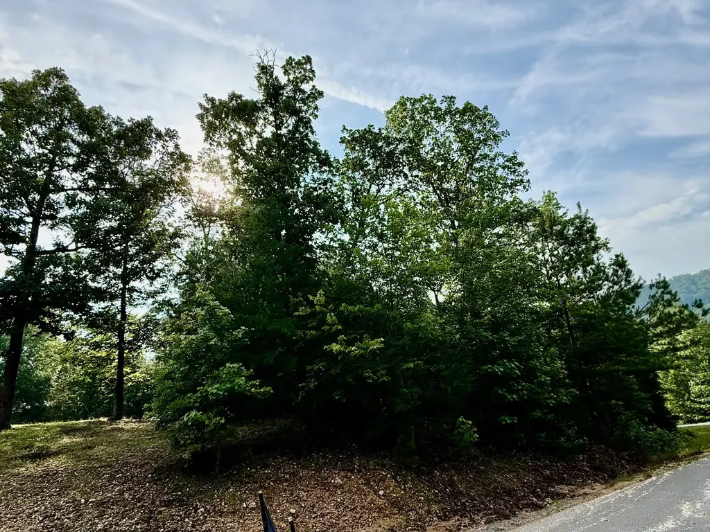 Lot 10 Shadow Wood Drive Glencoe AL 35905