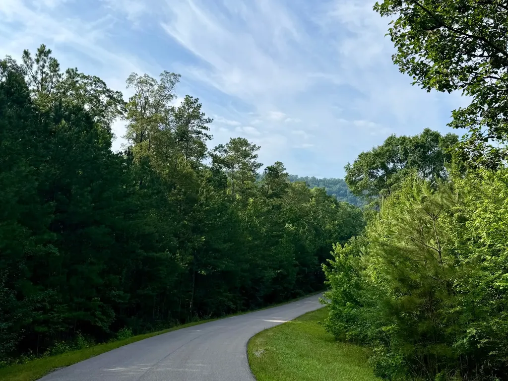 Lot 10 Shadow Wood Drive Glencoe AL 35905