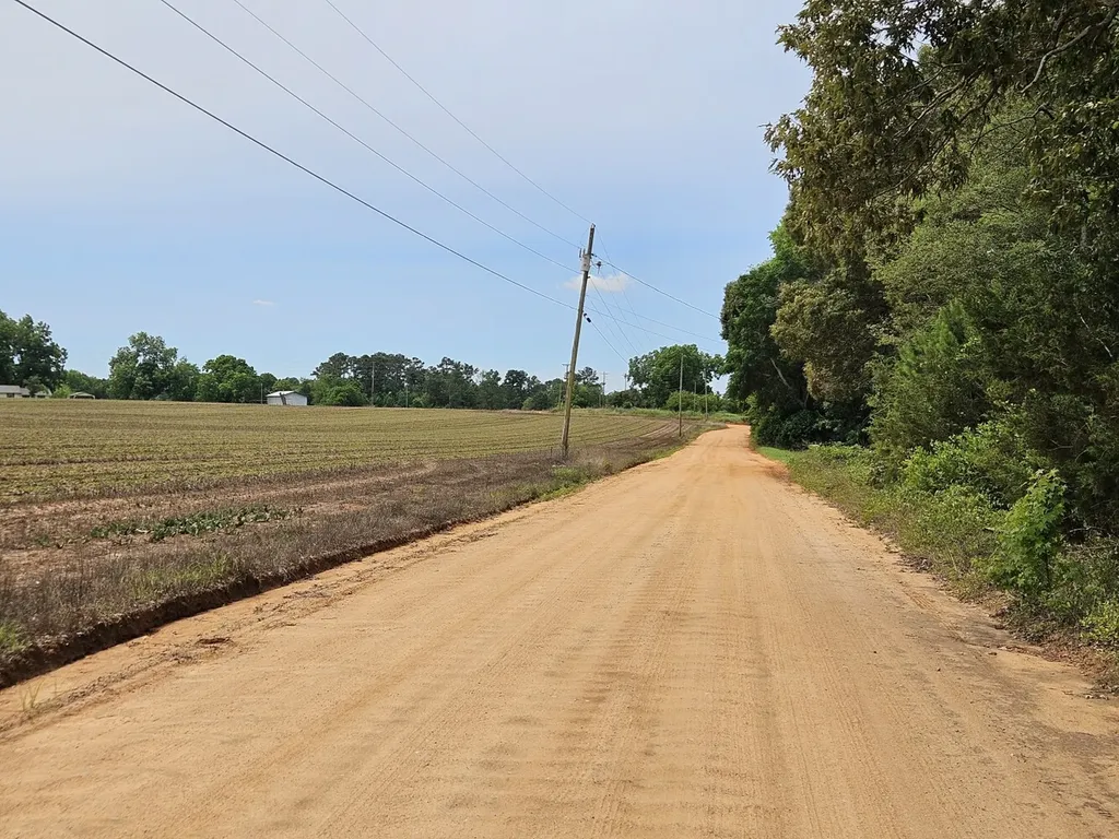 0 Baker Whatley Road, County Road 519 Midland City AL 36350