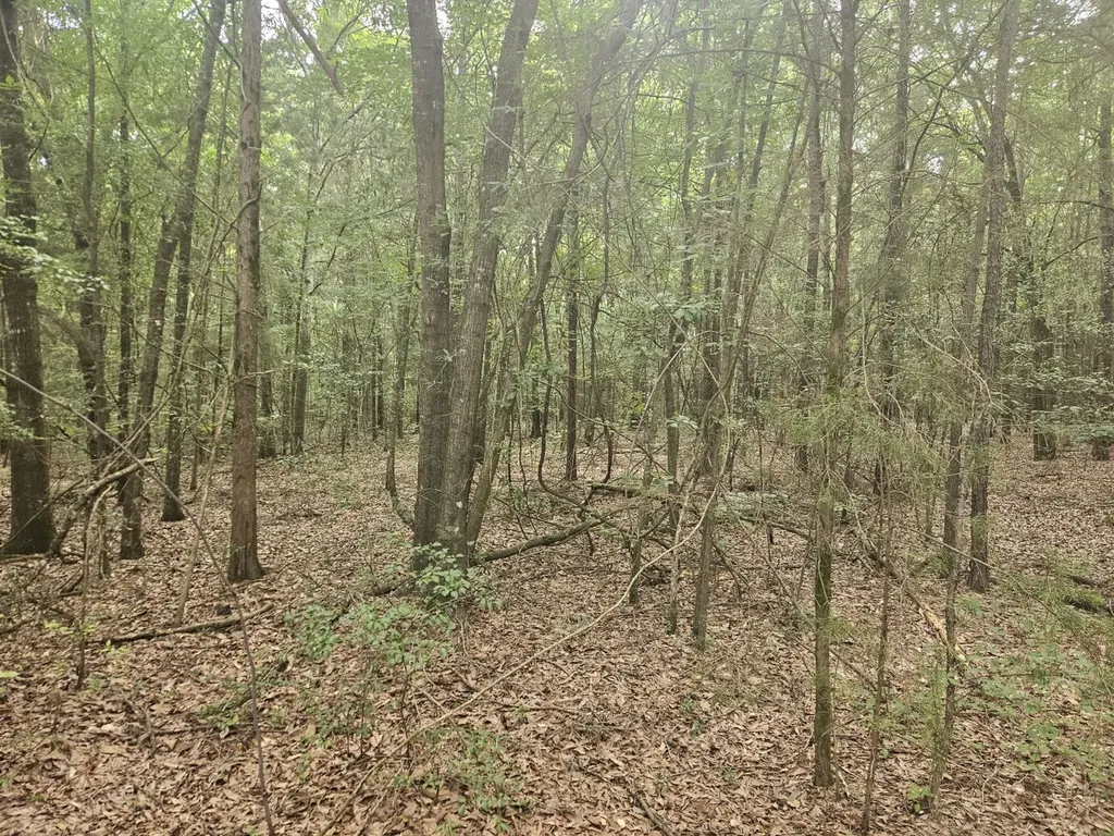 0 Baker Whatley Road, County Road 519 Midland City AL 36350