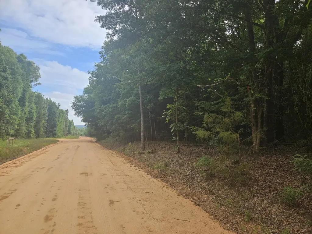 0 Baker Whatley Road, County Road 519 Midland City AL 36350