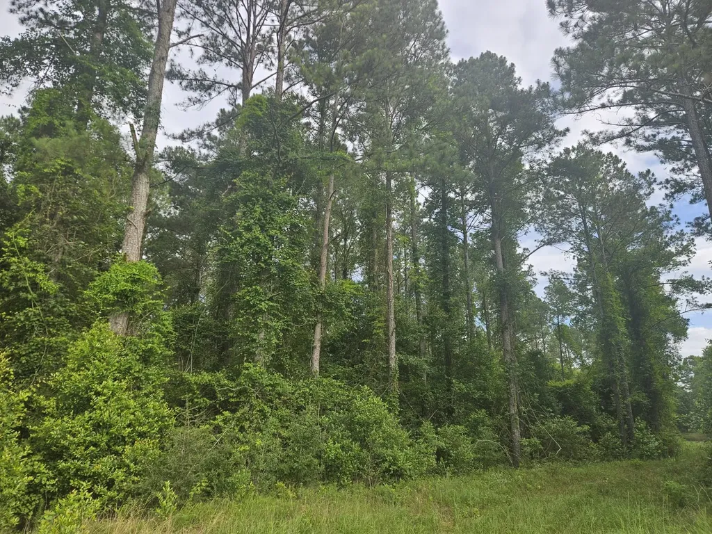 0 Baker Whatley Road, County Road 519 Midland City AL 36350