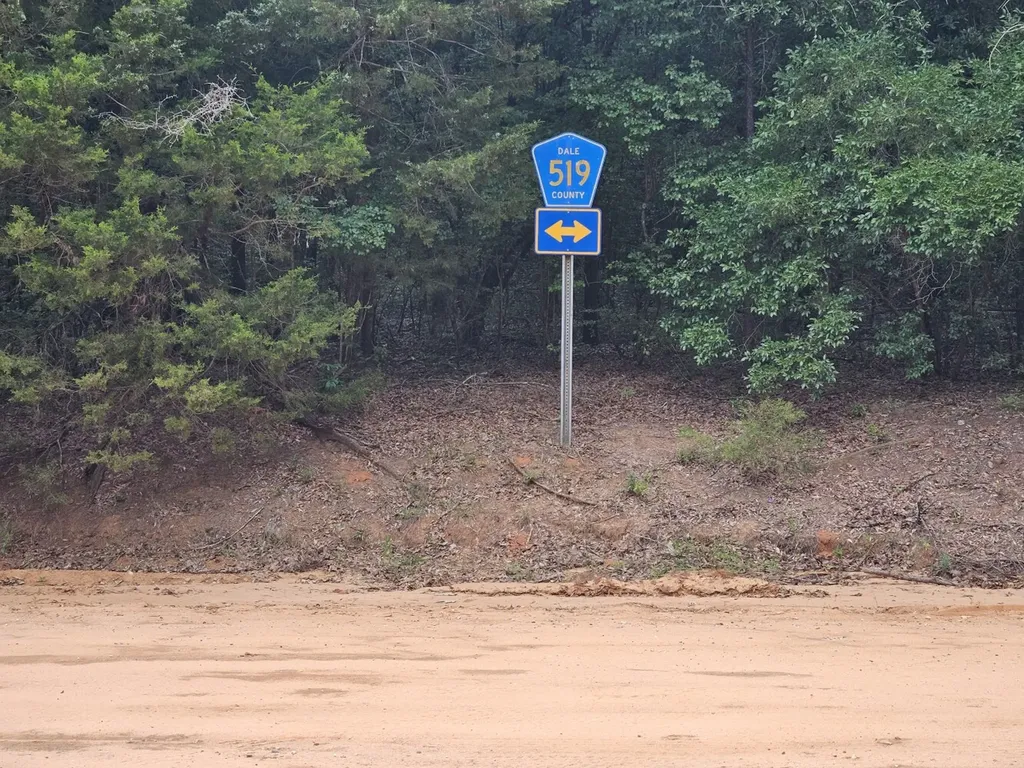 0 Baker Whatley Road, County Road 519 Midland City AL 36350