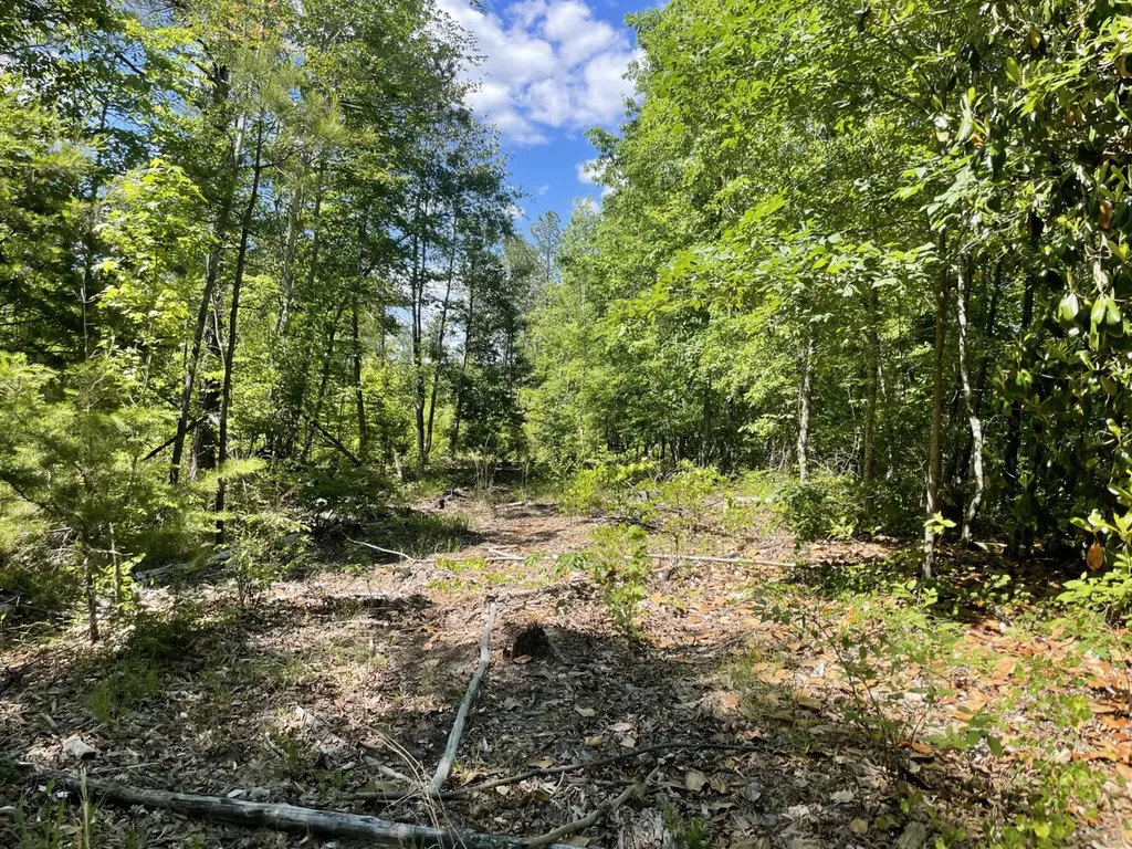 0 Highway 17 Butler AL 36904