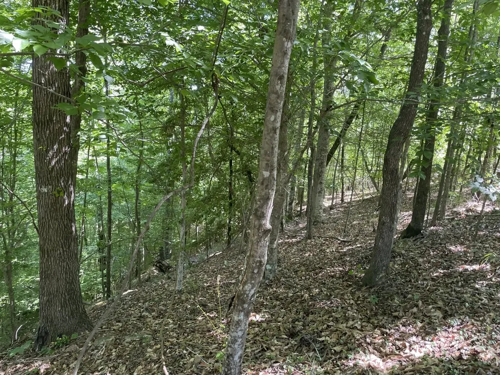 0 Highway 17 Butler AL 36904