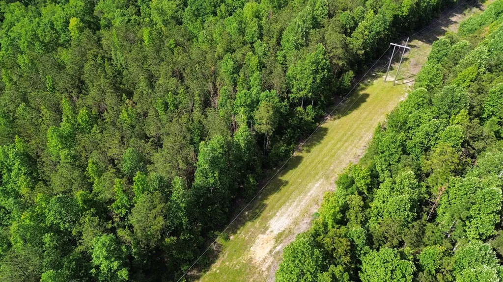 0 Highway 17 Butler AL 36904