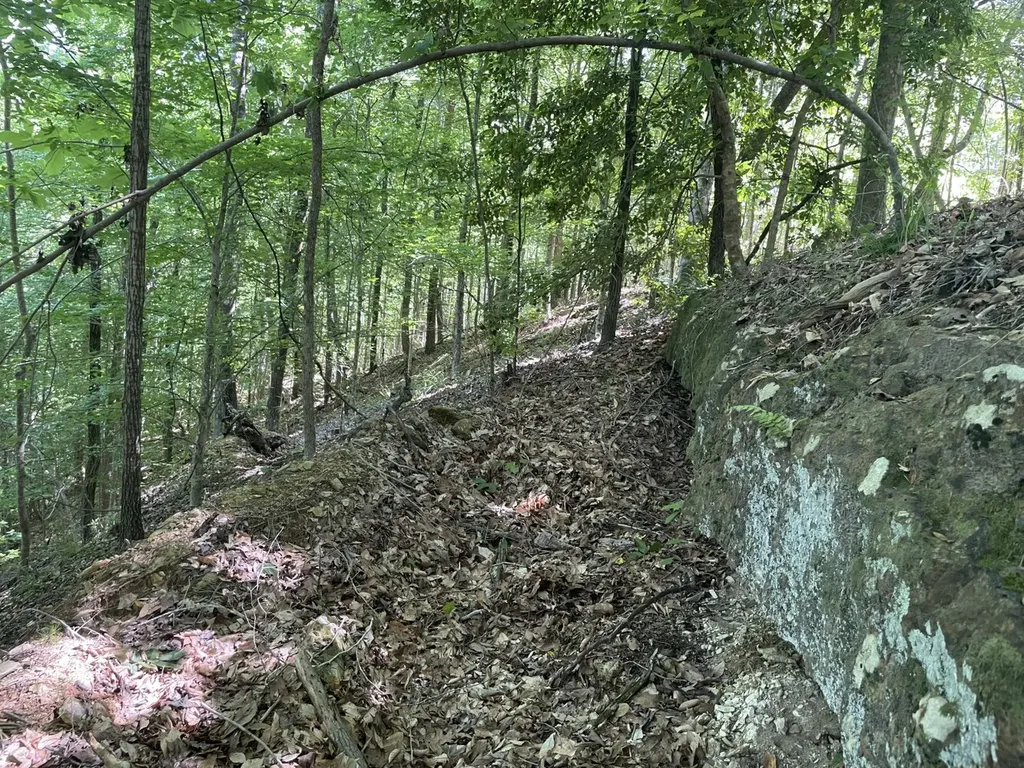 0 Highway 17 Butler AL 36904