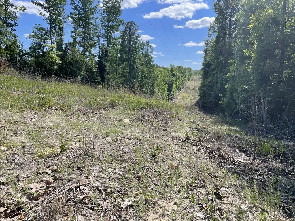 0 Highway 17 Butler AL 36904