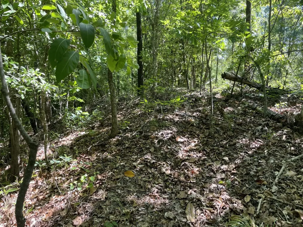 0 Highway 17 Butler AL 36904