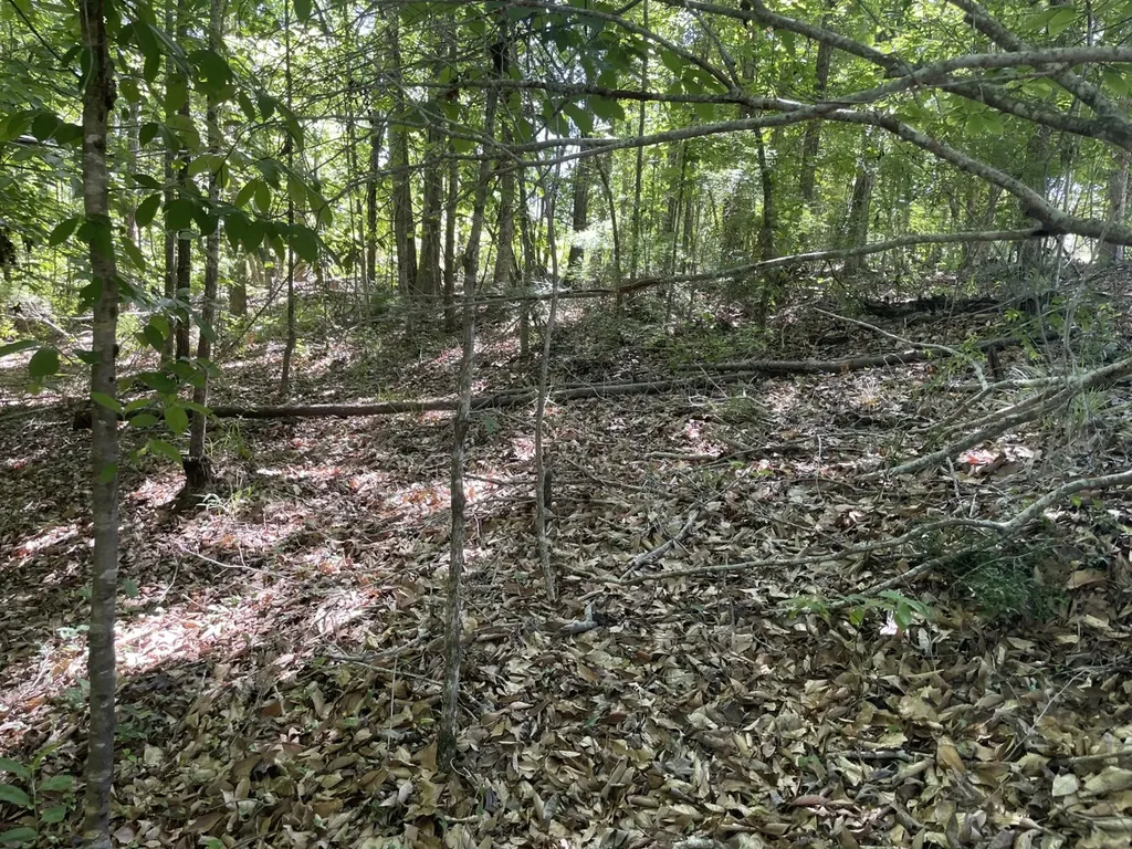 0 Highway 17 Butler AL 36904