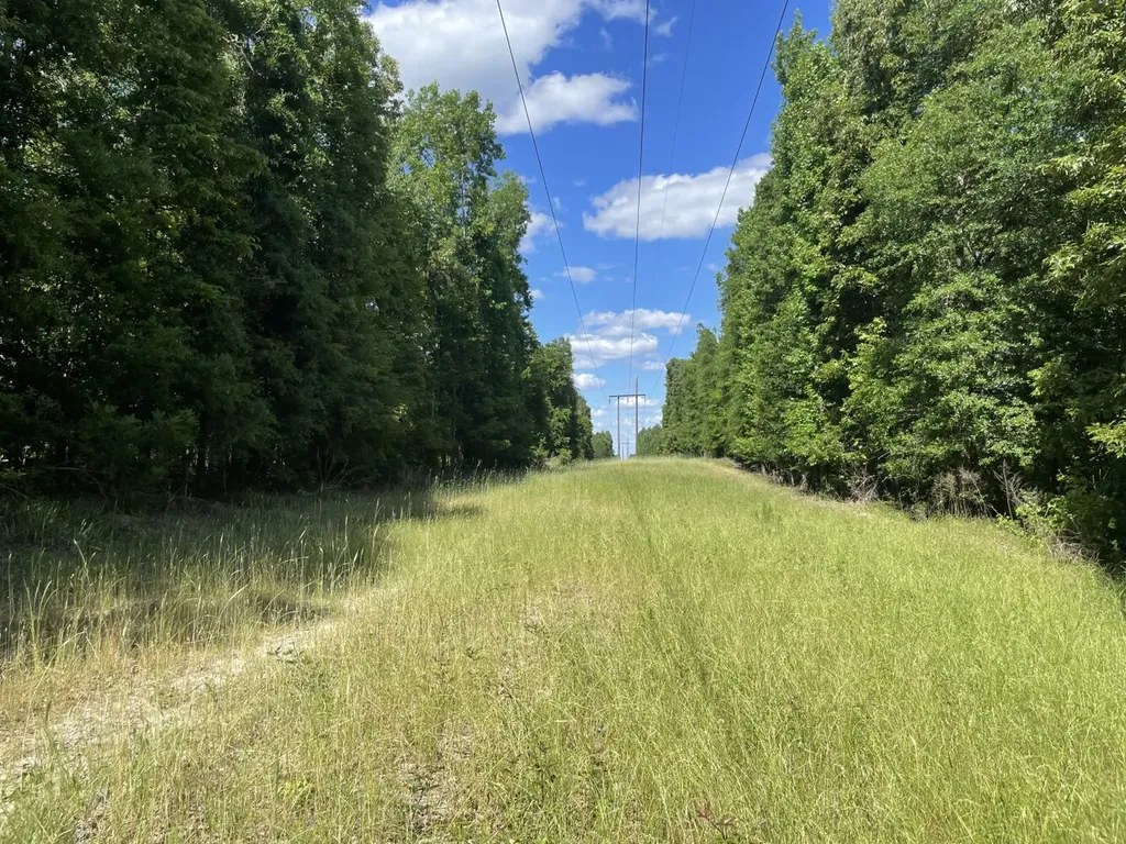 0 Highway 17 Butler AL 36904