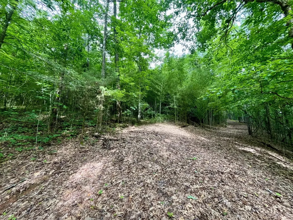 1317 Sunhill Road Birmingham AL 35215