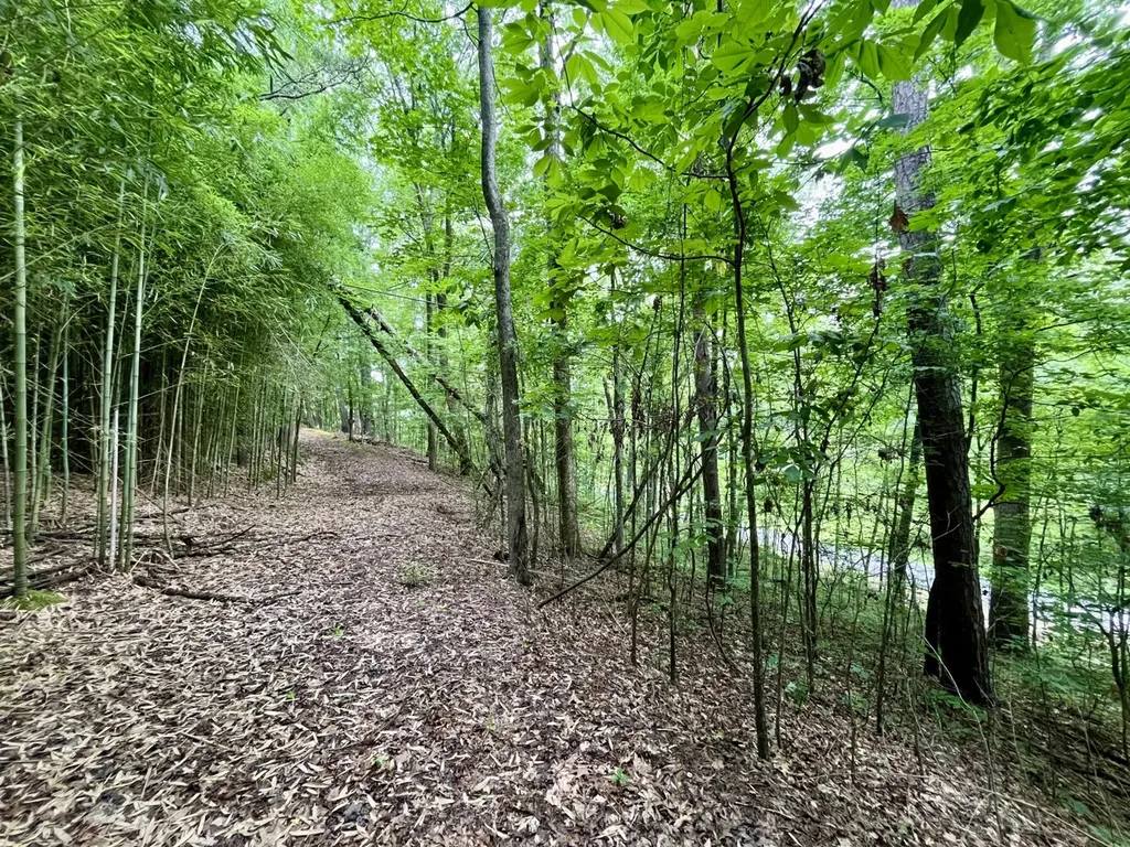 1317 Sunhill Road Birmingham AL 35215