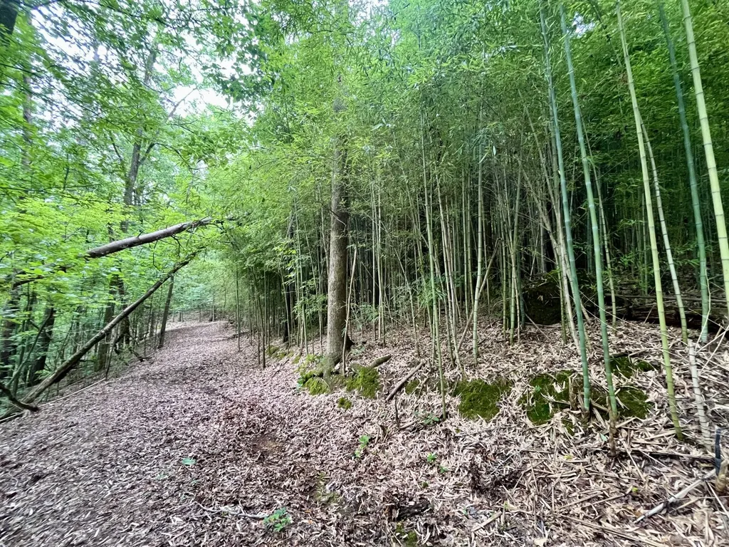 1317 Sunhill Road Birmingham AL 35215