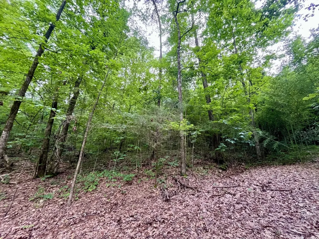 1317 Sunhill Road Birmingham AL 35215