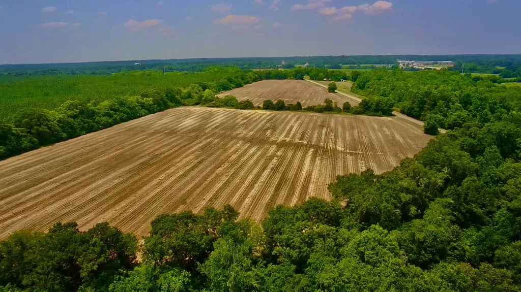 0 Rocky Creek Road Ashford AL 36312