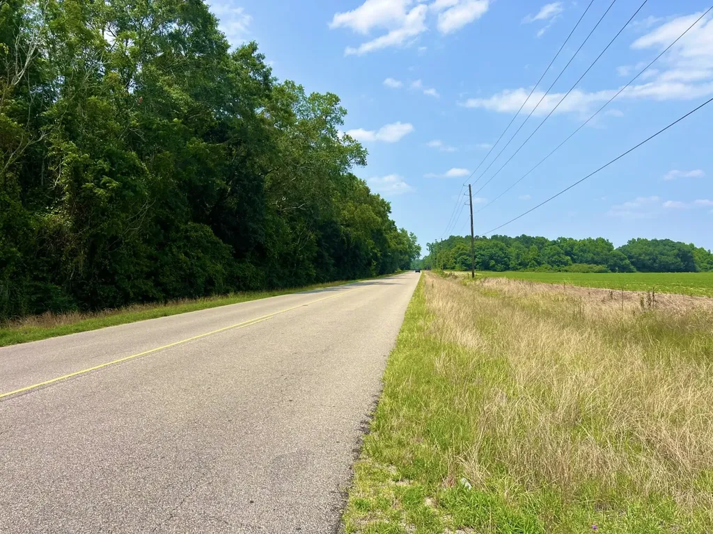 0 Rocky Creek Road Ashford AL 36312