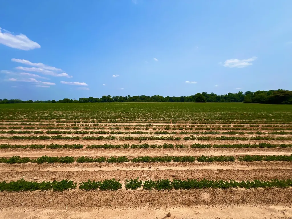 0 Rocky Creek Road Ashford AL 36312